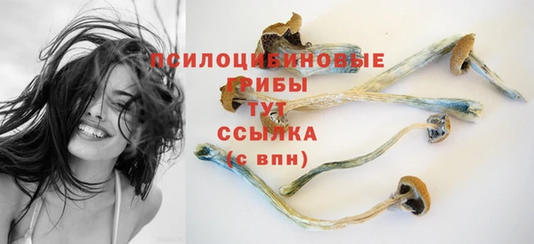 ГАЛЛЮЦИНОГЕННЫЕ ГРИБЫ Верхний Тагил