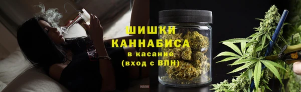 молекула духа Каменск-Шахтинский