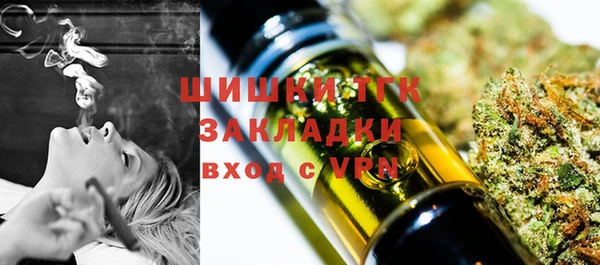 ГАЛЛЮЦИНОГЕННЫЕ ГРИБЫ Верхний Тагил